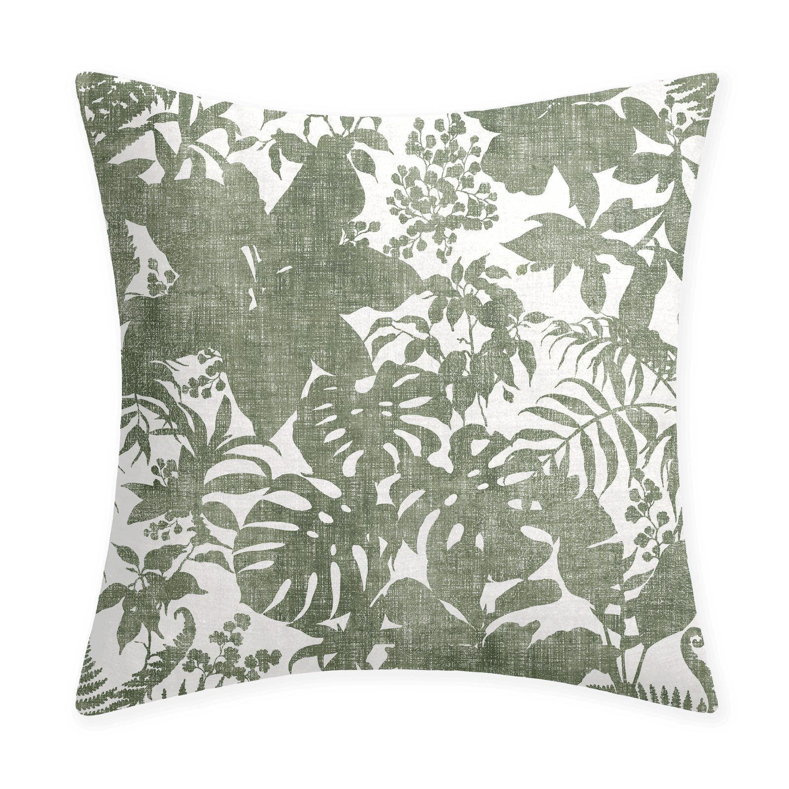 Bostonia Print in Sage Green, part of the Solander Collection